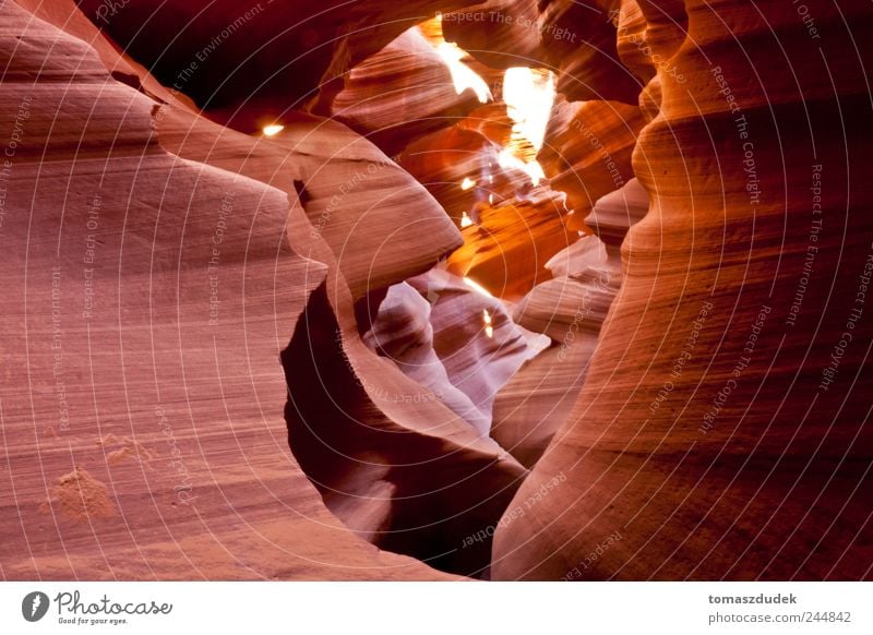 Antelope Aanyon in Page Arizona Umwelt Natur Erde Sand Sonnenlicht Schönes Wetter Felsen Schlucht Antelope Canyon USA Stein fantastisch braun gelb gold rot