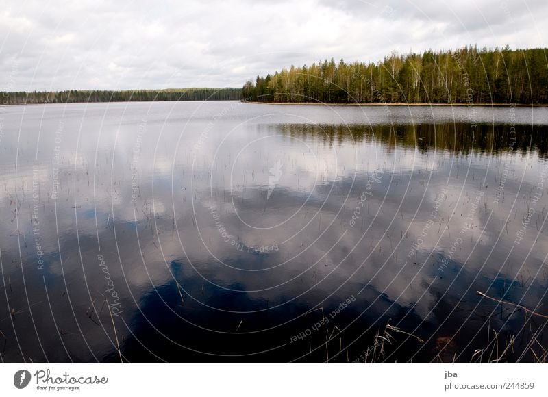 Wolkenspiegelung Ferien & Urlaub & Reisen Ausflug Natur Landschaft Wasser Himmel Wald See Finnland blau weiß Reflexion & Spiegelung Glätte Halm Küste Farbfoto