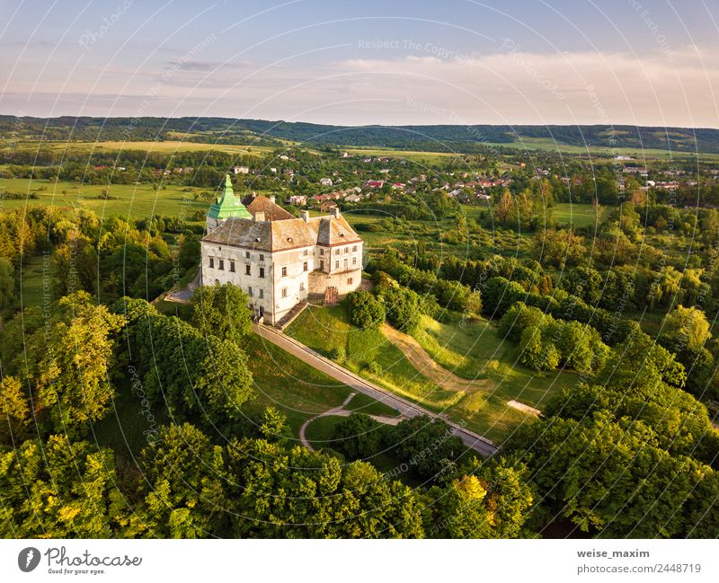 Olesko-Palast aus der Luft. Sommerpark und Burg auf den Hügeln. Ferien & Urlaub & Reisen Tourismus Museum Natur Landschaft Himmel Frühling Schönes Wetter Baum