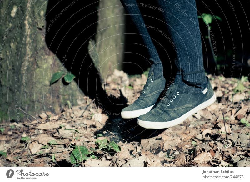 Laubhüpfer I Freude Mensch Beine Fuß 1 Umwelt Natur springen blau braun weiß hüpfen Schuhe Strumpfhose Blatt Herbst Herbstlaub Schatten Nahaufnahme