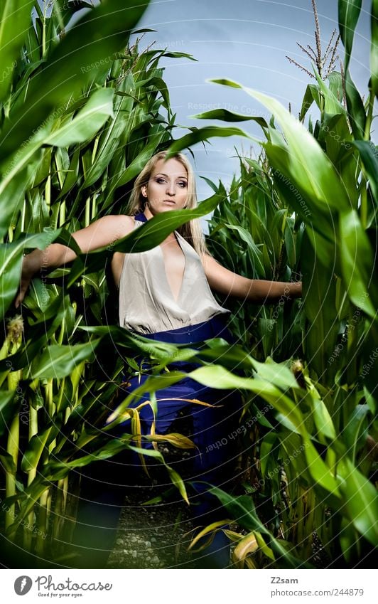 In the Jungle II elegant Stil feminin Junge Frau Jugendliche 1 Mensch 18-30 Jahre Erwachsene Natur Landschaft Gewitterwolken Sommer Grünpflanze Feld Mode blond