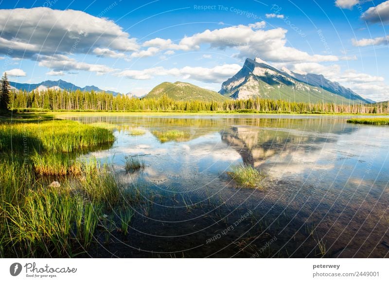 Panorama of Mount Rundle mountain peak schön Sommer Berge u. Gebirge Natur Landschaft Himmel Wolken Gras Wald Teich See blau grün Farbe Rundle Berg