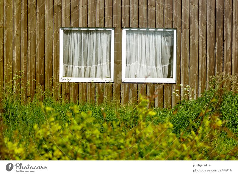 Hafenidylle Sträucher Dorf Fischerdorf Haus Hütte Gebäude Mauer Wand Fassade Fenster Holz einzigartig Kitsch Häusliches Leben 2 paarweise Gardine Farbfoto