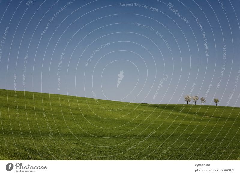 ___________I_I_I_I__ harmonisch Wohlgefühl Erholung ruhig Ausflug Ferne Freiheit Umwelt Natur Landschaft Wolkenloser Himmel Frühling Baum Gras Wiese Feld Hügel