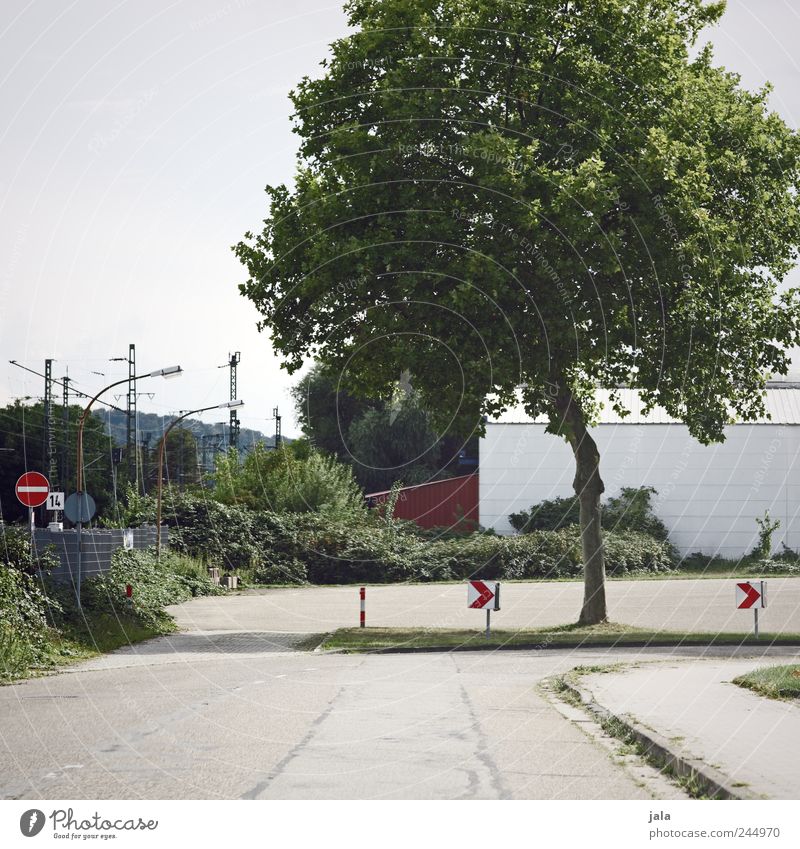 kurve Himmel Pflanze Baum Sträucher Wildpflanze Haus Industrieanlage Straße Wege & Pfade Verkehrszeichen Verkehrsschild grau grün Farbfoto Außenaufnahme