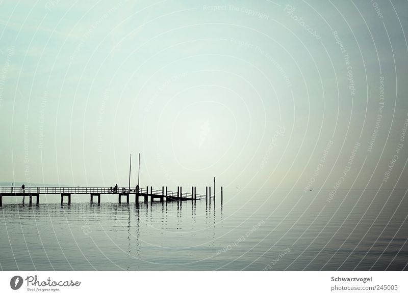 Stegweg ins Weitweg Ferien & Urlaub & Reisen Ferne Freiheit Sommer Sommerurlaub Natur Landschaft Wasser Horizont Sonnenlicht Schönes Wetter Seeufer Bodensee