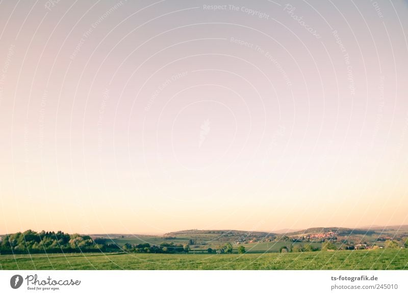 Vogelsberger Farbpalette Umwelt Natur Landschaft Tier Erde Himmel Wolkenloser Himmel Horizont Sonnenaufgang Sonnenuntergang Sommer Schönes Wetter Baum Wiese