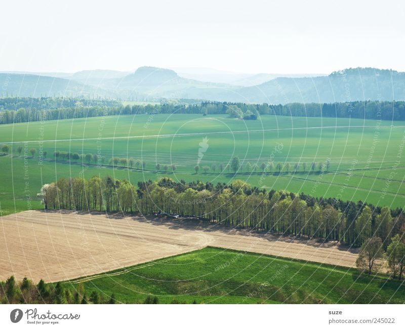 Fern sehen Ferien & Urlaub & Reisen Tourismus Ferne Freiheit Berge u. Gebirge Umwelt Natur Landschaft Urelemente Erde Luft Himmel Wolkenloser Himmel Horizont