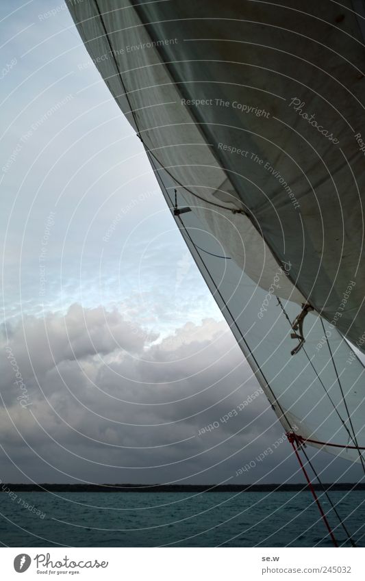 Hisst die Segel! Ausflug Sommer Strand Meer Insel Segeltörn Himmel Wolken Schönes Wetter Wind Küste Sport blau Farbfoto Textfreiraum links Totale