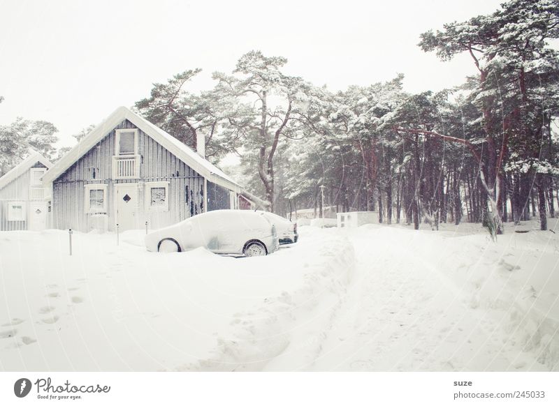 Winter Ferien & Urlaub & Reisen Winterurlaub Häusliches Leben Haus Umwelt Natur Himmel Wolkenloser Himmel Eis Frost Schnee Baum Wald Einfamilienhaus Hütte