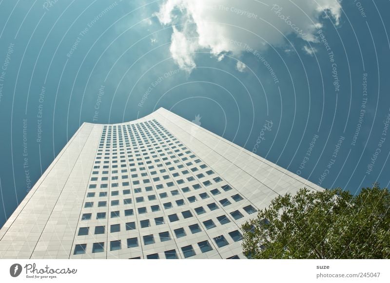 Hochhinaus Haus Arbeit & Erwerbstätigkeit Business Umwelt Himmel Wolken Wetter Schönes Wetter Baum Hochhaus Bauwerk Gebäude Architektur Fassade Fenster