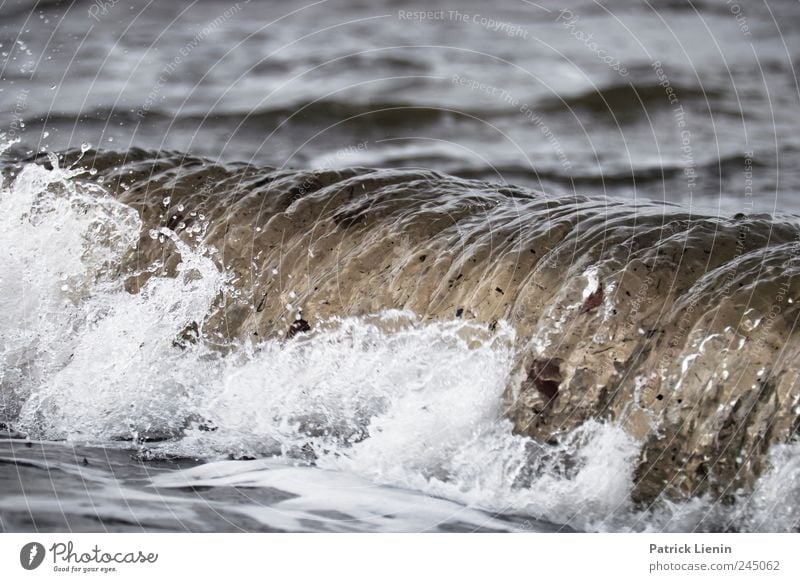 Wellenrausch Freizeit & Hobby Ferien & Urlaub & Reisen Ausflug Ferne Freiheit Meer Umwelt Natur Landschaft Wasser Horizont Klima Wetter schlechtes Wetter