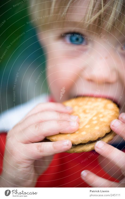 Keeekseee! Lebensmittel Süßwaren Ernährung Essen schön Freizeit & Hobby Kind Mensch Junge Kindheit Auge Hand 1 3-8 Jahre süß Pause Keks doppelkeks Schokolade