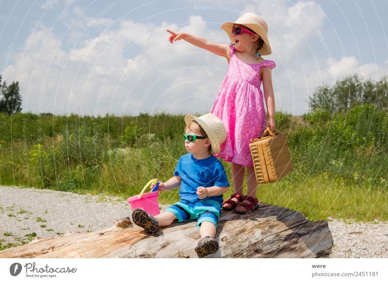 A boy and a girl in toddlerhood are standing on a log in summer clothes Strand Mensch Baby Familie & Verwandtschaft Ferien & Urlaub & Reisen Blick träumen