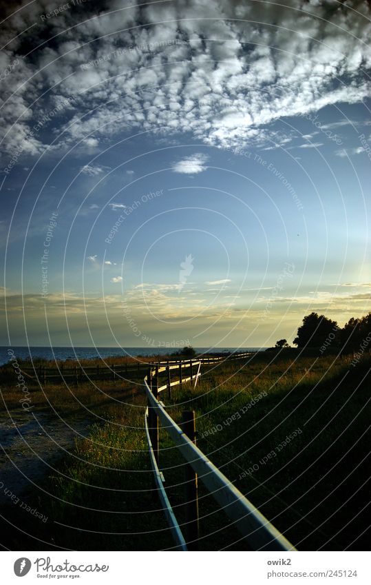 Koppel mit Seeblick Umwelt Natur Landschaft Pflanze Himmel Wolken Horizont Klima Schönes Wetter Baum Gras Küste Ostsee Weide Zaun Begrenzung Schonen Nordeuropa