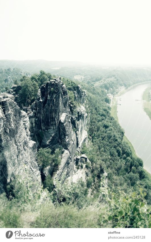 Elbe, kein Sand, Stein, Gebirge, Bäume werden im Titel ignoriert Natur Landschaft Wolkenloser Himmel Sonnenlicht Schönes Wetter Baum Gras Sträucher Felsen