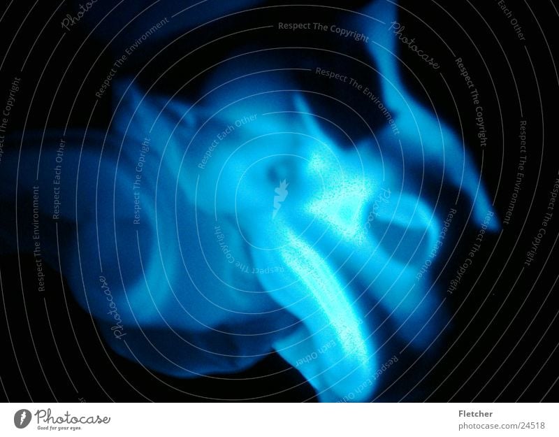 schaum1 Schaum dunkel Muster seltsam weich Fototechnik hell blau Strukturen & Formen