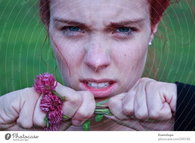 Wut Mensch feminin Junge Frau Jugendliche Erwachsene Kindheit Nase Mund Lippen Zähne Hand 1 festhalten Zerreißen Blume Aggression Farbfoto Gedeckte Farben