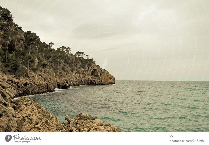 mallorquinische Tristesse Ferien & Urlaub & Reisen Ausflug Ferne Freiheit Meer Küste Natur Landschaft Luft Wasser Himmel Wetter Baum Bucht Mittelmeer schön