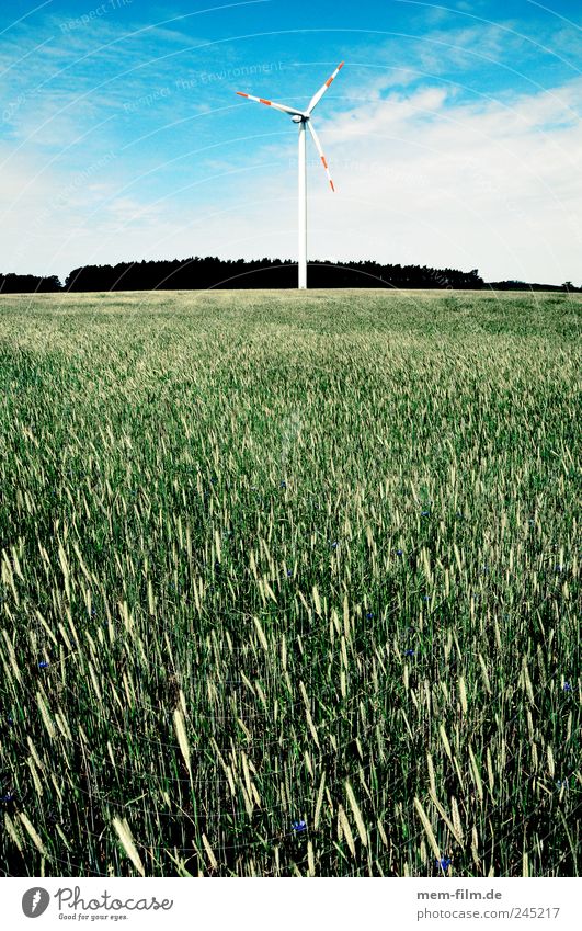 windrad hinter biomasse Windkraftanlage Windrad Biomasse Weizen Feld Erneuerbare Energie Elektrizität Energiewirtschaft Landschaft verschandeln Brandenburg