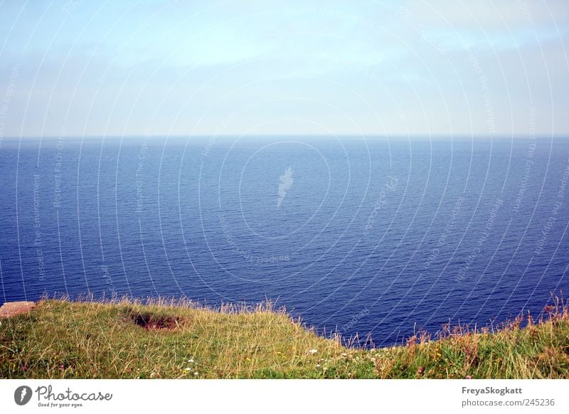 Unperfekt Ferien & Urlaub & Reisen Ferne Freiheit Sommer Sommerurlaub Meer wandern Natur Erde Luft Wasser Himmel Horizont Schönes Wetter Gras Wiese Wellen