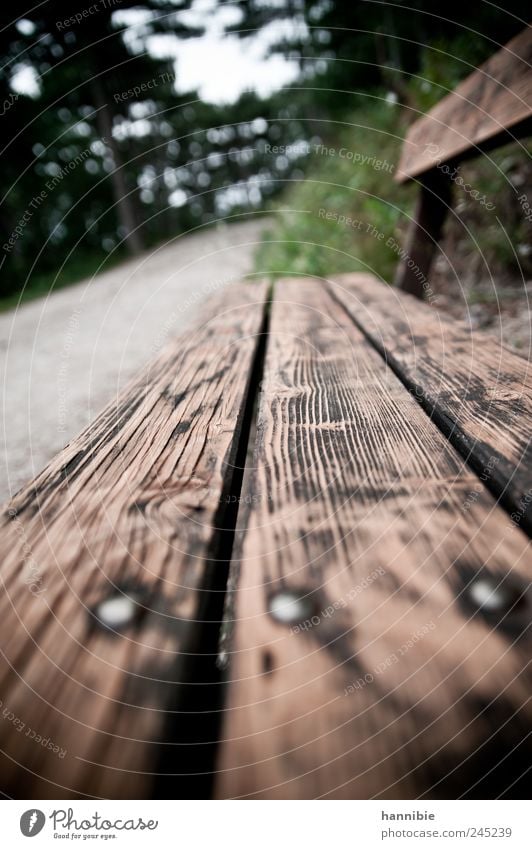 sitz!platz! wandern Park Wald Erholung sitzen warten alt eckig braun grau grün Bank Holz Wege & Pfade Spaziergang Pause verwittert Einsamkeit Natur Farbfoto