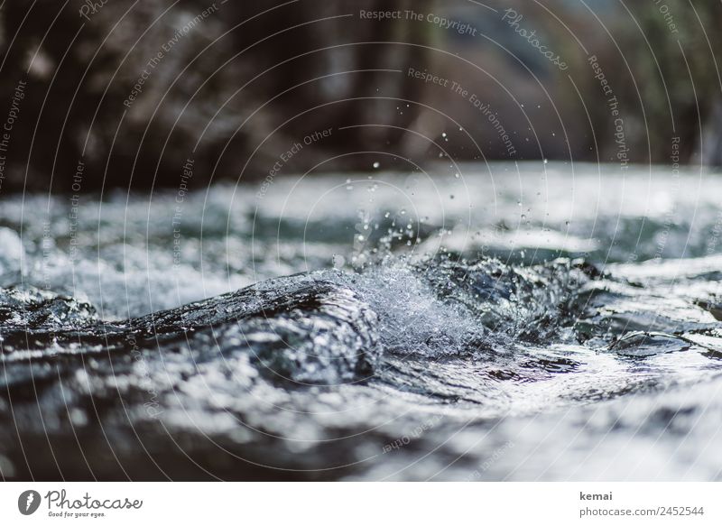 Wasserkraft Leben harmonisch Zufriedenheit ruhig Ausflug Abenteuer Freiheit Wellen Natur Urelemente Wassertropfen Schönes Wetter Felsen Bach Fluss authentisch