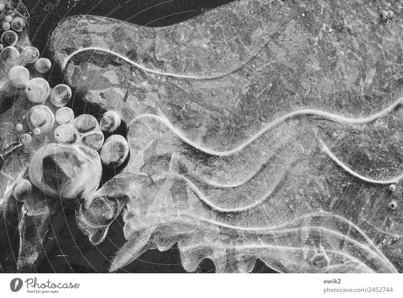 Luftblasen und Eiswellen Umwelt Natur Winter Frost Wellen frieren kalt gefroren Linie Kugel Schwarzweißfoto Außenaufnahme Nahaufnahme Detailaufnahme abstrakt