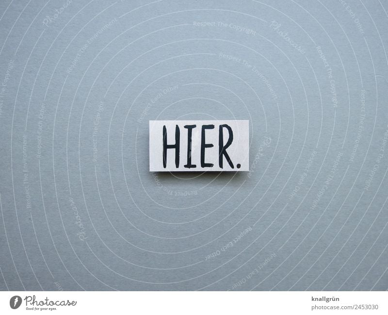 Hier. hier Ort Standort Hinweisschild Schilder & Markierungen Schriftzeichen Farbfoto Menschenleer Buchstaben Mitteilung Typographie Wort Text Kommunizieren