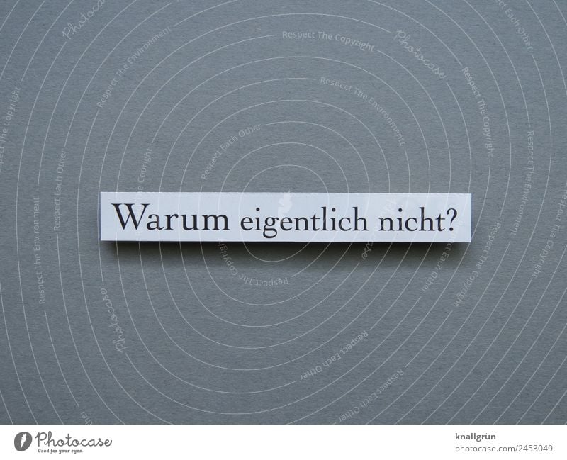 Warum eigentlich nicht? Fragen Neugier Interesse überlegen nachdenken Gefühle grübeln Buchstaben Wort Satz Letter Text Lateinisches Alphabet Schriftzeichen