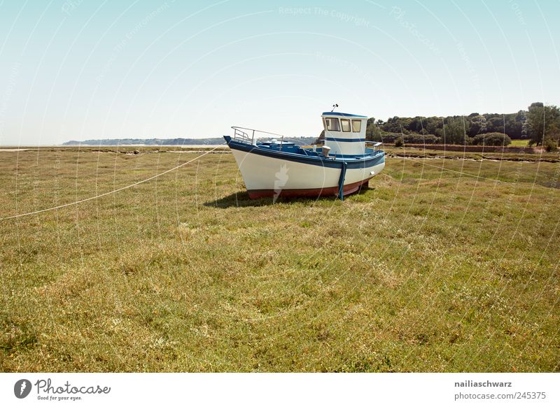 Auf dem Trockenen Fischer Fischerboot Fischereiwirtschaft Wasserfahrzeug Schifffahrt Natur Landschaft Sommer Strand Bretagne liegen braun grün weiß stagnierend