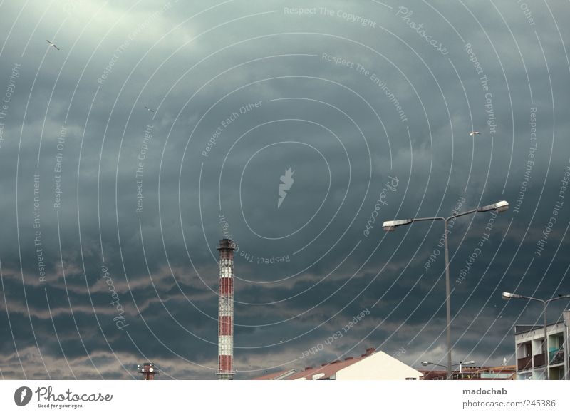 Unwetterwarnung Himmel Klima Klimawandel Wetter schlechtes Wetter Wind Sturm Regen Angst Laterne Turm Turbulenz Wolkendecke Apokalypse strahlend leuchten Stadt