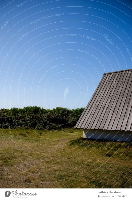 DÄNEMARK - II Umwelt Natur Landschaft Luft Wolkenloser Himmel Horizont Sommer Schönes Wetter Pflanze Baum Gras Sträucher Dorf Menschenleer Haus Einfamilienhaus