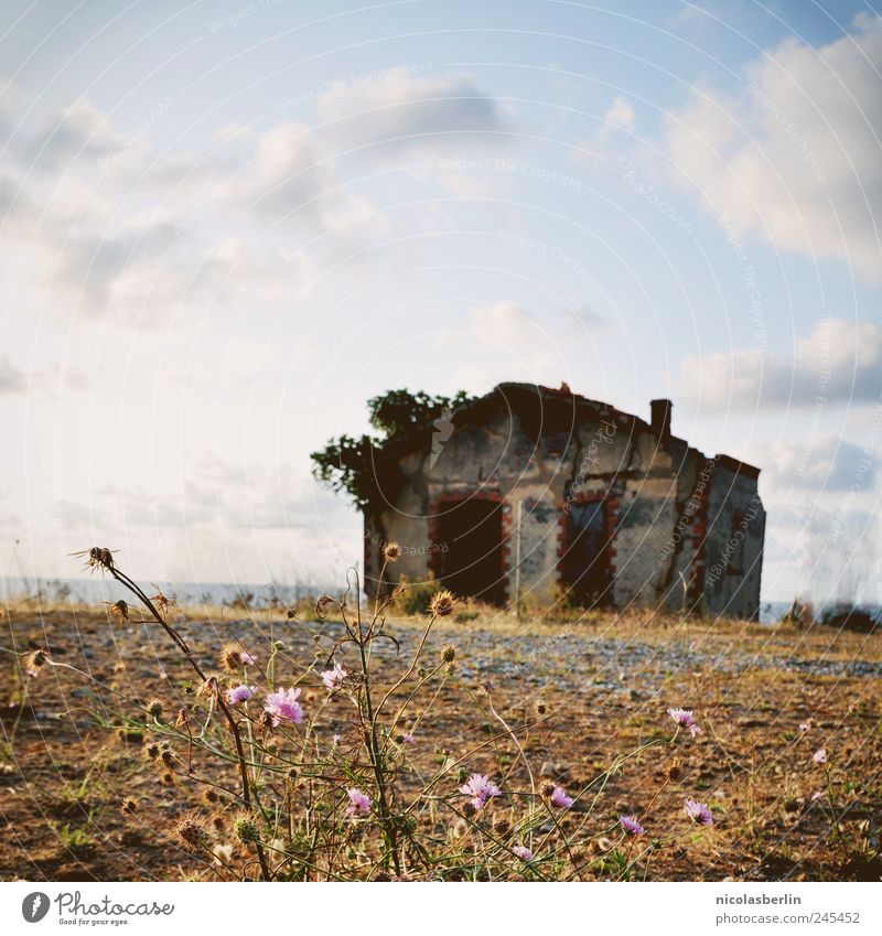 Haus am Meer Natur Pflanze Wolken Schönes Wetter Gras Hügel Küste Seeufer Stein Sand Beton Backstein alt dunkel hässlich kaputt natürlich trist wild Fernweh