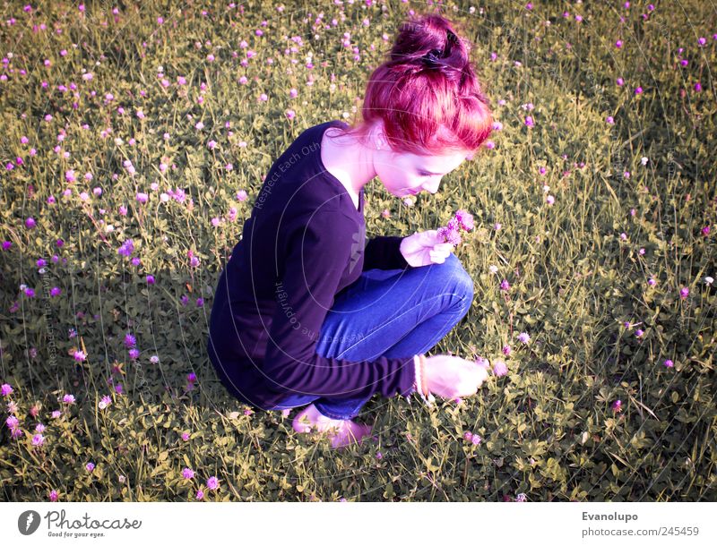 Blumenkind feminin Junge Frau Jugendliche Erwachsene Kindheit 1 Mensch Blühend pflücken mädchenhaft kindlich Farbfoto Gedeckte Farben Außenaufnahme