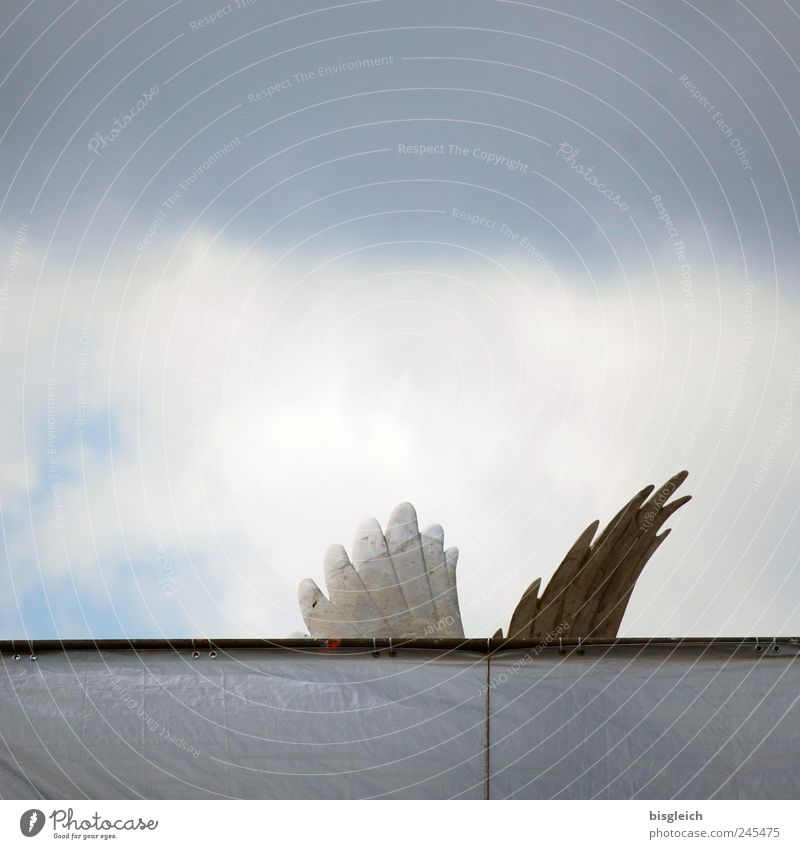 Engelflügelspitzen Skulptur Stein Flügel grau weiß Himmel Himmel (Jenseits) Plane Wolken Wolkenhimmel Feder Farbfoto Gedeckte Farben Außenaufnahme Menschenleer