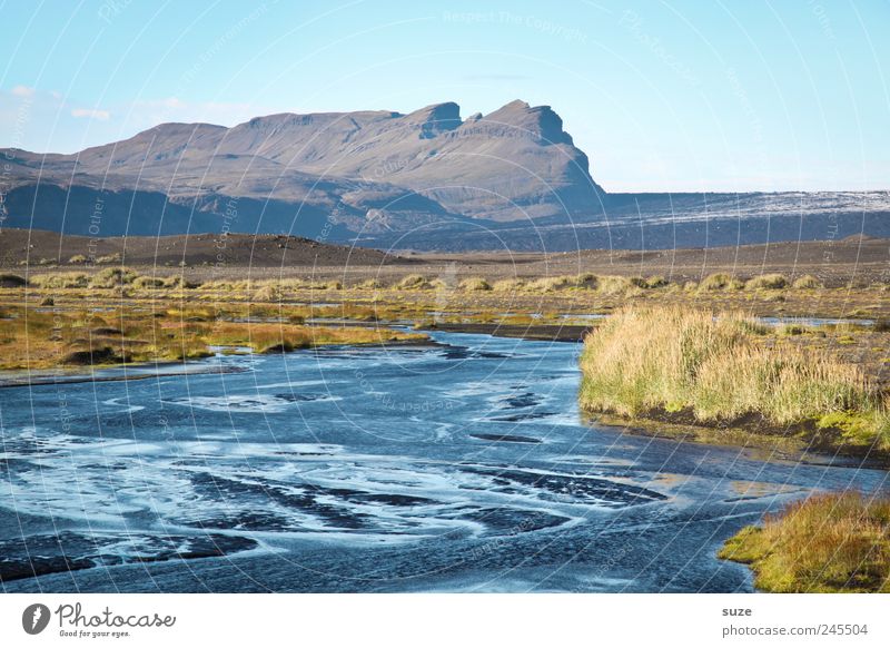 Zulauf ruhig Ferien & Urlaub & Reisen Berge u. Gebirge Haus Umwelt Natur Landschaft Urelemente Wasser Himmel Wiese Seeufer Flussufer groß wild blau Island