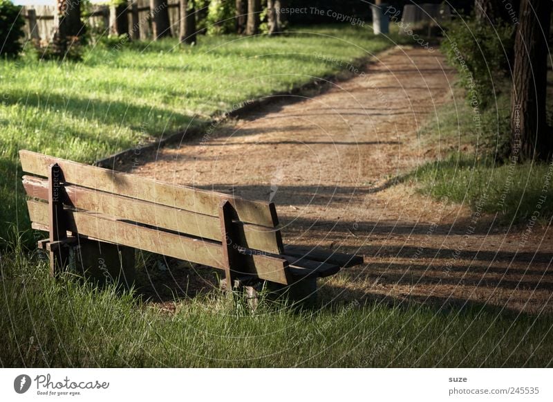 Eckbank ruhig Garten Wiese Wege & Pfade Holz braun grün Frieden Pause Ziel Bank Friedhof Holzbank Zaun geheimnisvoll Farbfoto Gedeckte Farben Außenaufnahme