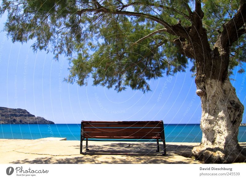 Lieblingsplatz Ferien & Urlaub & Reisen Ferne Sommer Sommerurlaub Strand Meer Insel Landschaft Wasser Wolkenloser Himmel Horizont Schönes Wetter Pflanze Baum