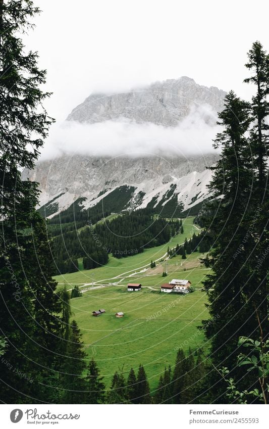 View of an alp from above Natur Landschaft Alm Österreich Alpen Nadelbaum Nadelwald Wiese Berghütte Berge u. Gebirge Reisefotografie Ferien & Urlaub & Reisen