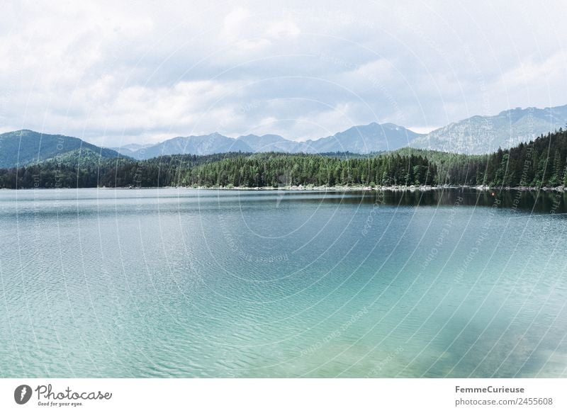 Mountain lake with cristal clear water in the alps Natur Klarheit türkis Nadelwald Alpen Berge u. Gebirge Sonnenstrahlen Sommer See Gebirgssee Farbfoto