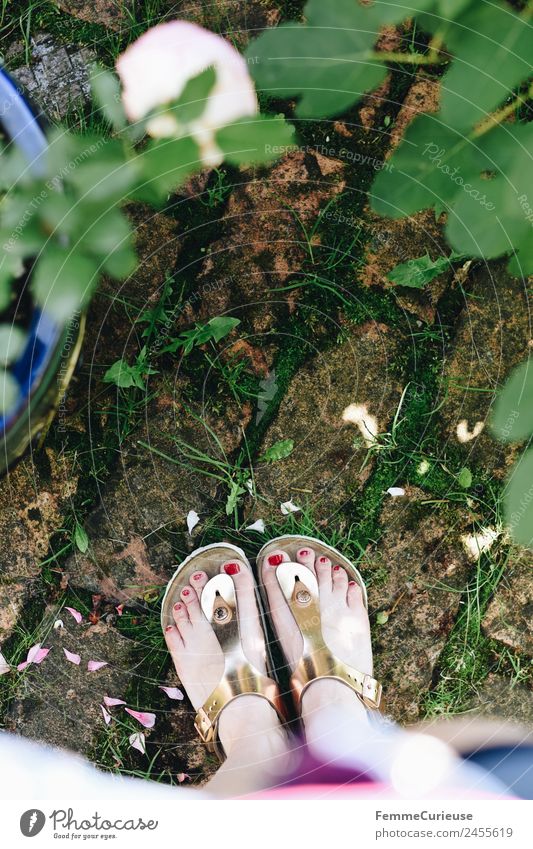 Feet of a woman wearing sandals feminin Junge Frau Jugendliche Erwachsene Fuß 1 Mensch 18-30 Jahre 30-45 Jahre ästhetisch Sandale glänzend Steinboden Garten