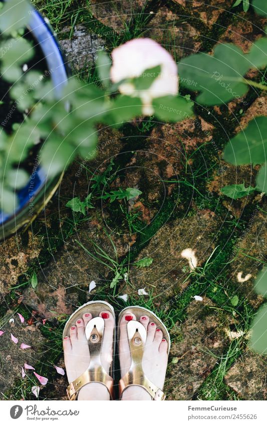 Woman in sandals standing in her garden feminin Junge Frau Jugendliche Erwachsene 1 Mensch 18-30 Jahre 30-45 Jahre Natur Sandale Schlappen glänzend Garten