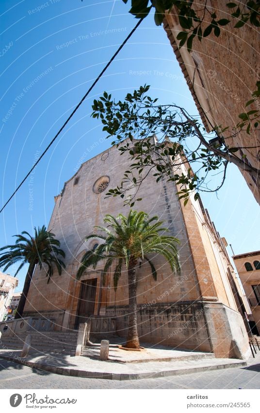 Sant Andreu Himmel Sommer Schönes Wetter Baum Palme Kleinstadt Stadtzentrum Kirche Gebäude Mauer Wand Fassade Sehenswürdigkeit alt ästhetisch historisch blau