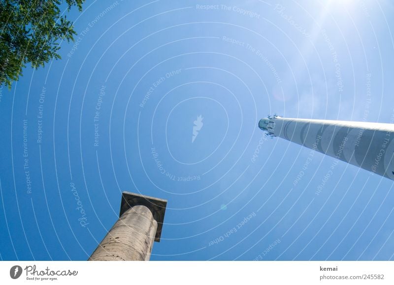 Getürmte Gegensätze Natur Tier Himmel Wolkenloser Himmel Sonnenlicht Sommer Schönes Wetter Pflanze Baum Blatt Schornstein Säule Turm alt groß hoch Heizkraftwerk