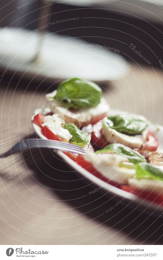 rot.weiß.grün Lebensmittel Käse Milcherzeugnisse Gemüse Kräuter & Gewürze Öl Tomate Basilikum Mozzarella Ernährung Mittagessen Büffet Brunch Bioprodukte