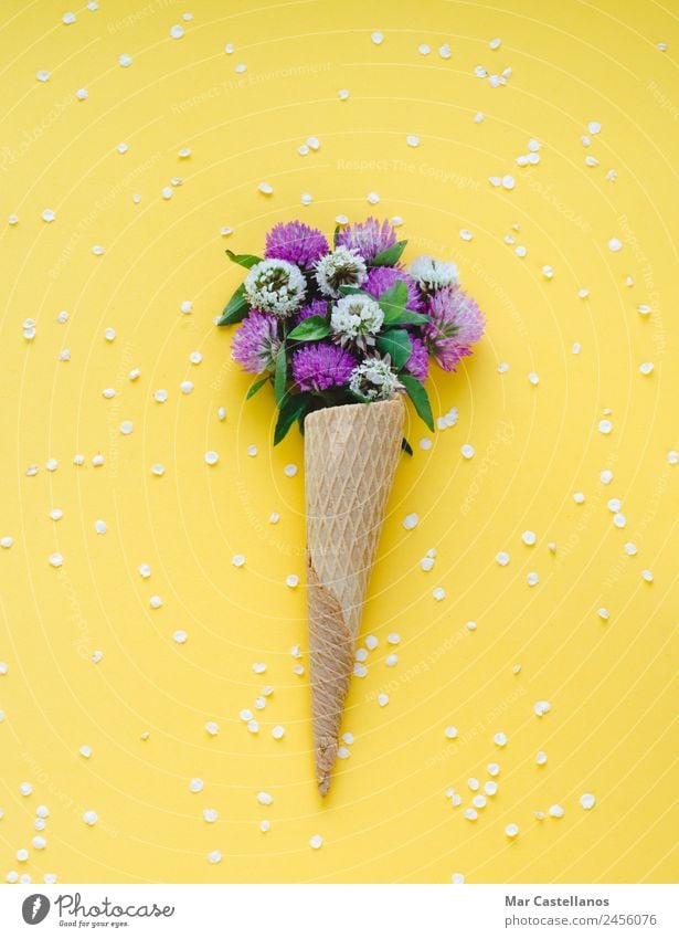 Eiscremekegel mit Blumen auf gelbem Hintergrund Kräuter & Gewürze schön Sommer Garten Kunst Pflanze Gras Blatt Blüte Blumenstrauß schreiben natürlich grün rot