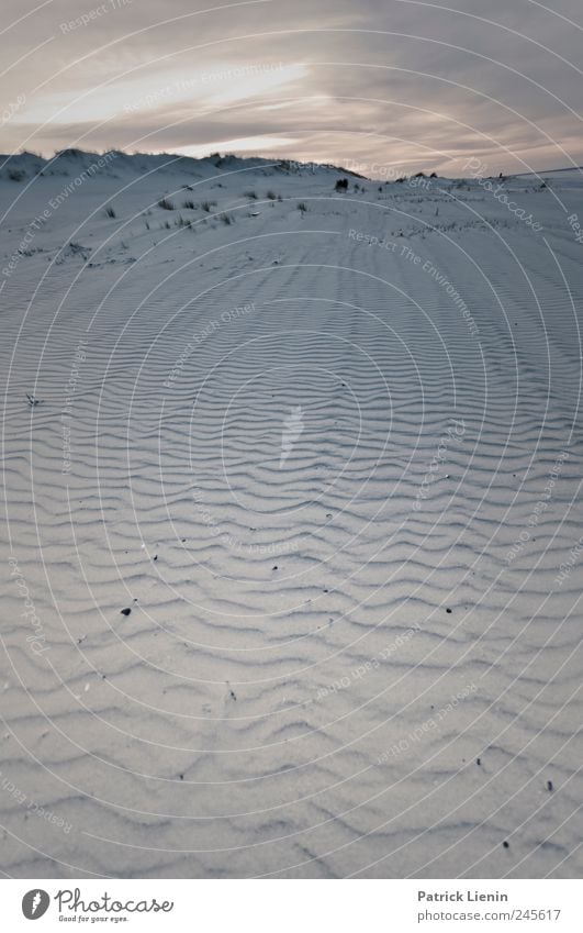 Spiekeroog | Beach of Joy ~ Zufriedenheit Ferien & Urlaub & Reisen Tourismus Ausflug Ferne Freiheit Strand Meer Insel Umwelt Natur Landschaft Urelemente Erde