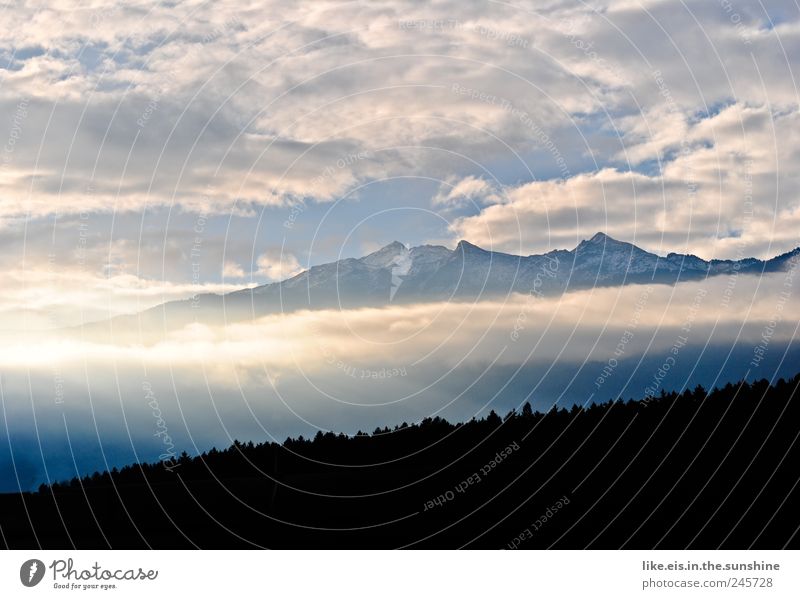 guten morgen aus tirol! Umwelt Natur Landschaft Himmel Wolken Klima Wetter Schönes Wetter Nebel Baum Wald Hügel Alpen Berge u. Gebirge Gipfel