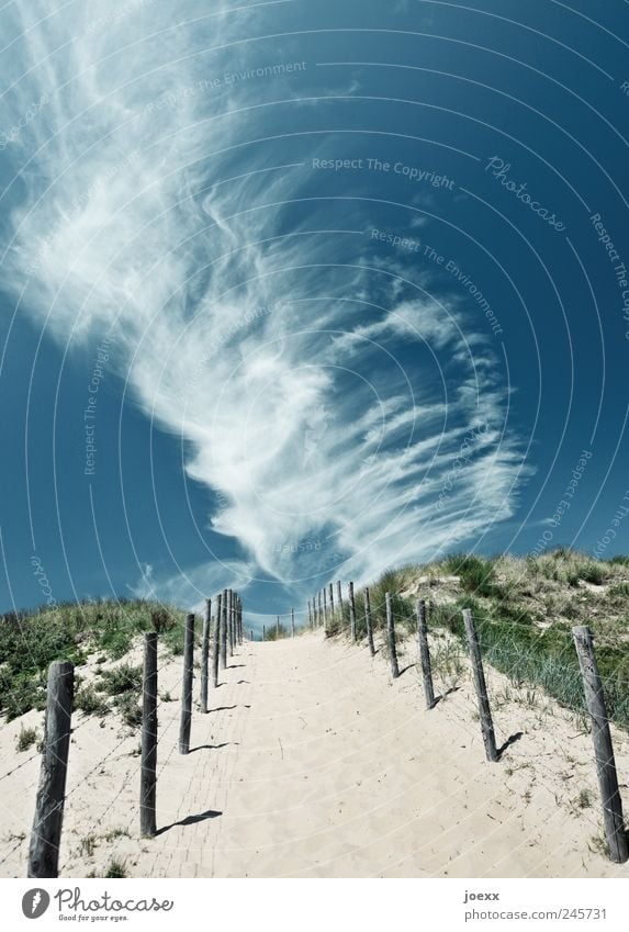 Weiter gehen Ferien & Urlaub & Reisen Ausflug Freiheit Sommer Sommerurlaub Natur Landschaft Sand Luft Himmel Wolken Schönes Wetter Gras Sträucher Hügel Insel